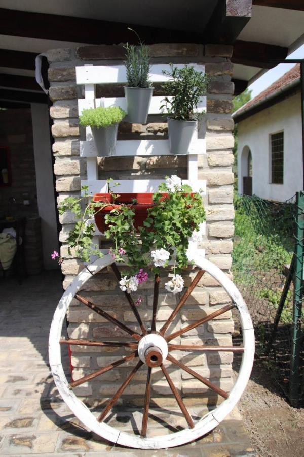 Palic Vila Masa Pr Emina Stipancevic Esterno foto